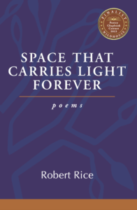 Space That Carries Light Forever (Robert Rice, 2024)
